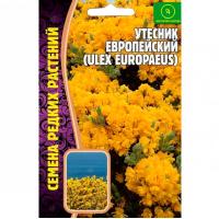 Утесник Европейский 30 шт
