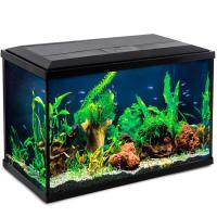 Аквариум Breeze 75,7л 612*230*431мм черный/Laguna/73534031