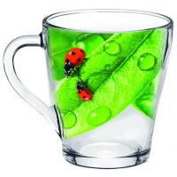 Кружка Живая природа Зеленый лист 250мл/1649-Д 