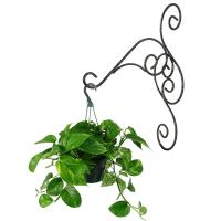 Подставка Настенная РЗДИ Крюк малый 1 горшок бронза