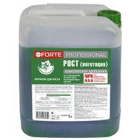 Бона Форте Professional Рост (фаза 2) 5л Бона Форте Professional Рост (фаза 2) 5л