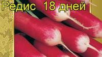 Редис 18 Дней 10г