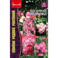 Редкие растения Роза китайская Angel Wings 7шт 