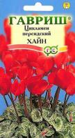 Цикламен персидский Хайн 3шт