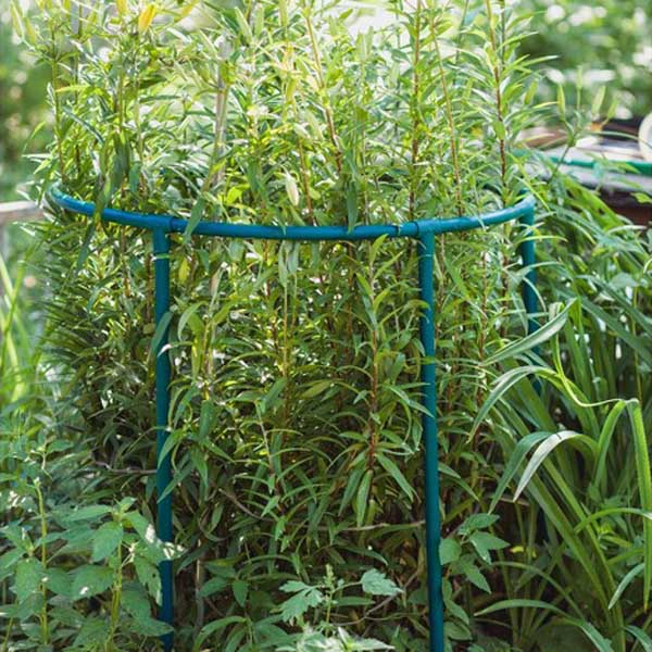 Опора для ягод, кустарников, цветов "Цветочная гармония" 40*38см Опора для ягод, кустарников, цветов "Цветочная гармония" 40*38см