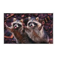 Коврик придверный 50*80см Velur "Веселые еноты" влаговпитывающий Коврик придверный 50*80см Velur "Веселые еноты" влаговпитывающий