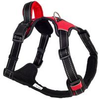 Шлейка нейлон L SPORT с ручкой красная обхв.груди 65-80см/01206580-02/Каскад