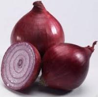 Лук-севок Кармен 10-22 10кг+-10% + Атлант 