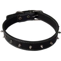Ошейник кожа 15мм двойной с шипами 21-27см/10015110/Каскад