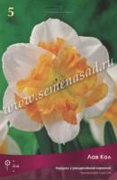 Нарцисс с Расщеплённой коронкой Лав Кол (12/14) 5шт.
