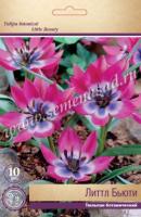 Тюльпан Ботанический Литтл Бьюти (6/8) 10 шт