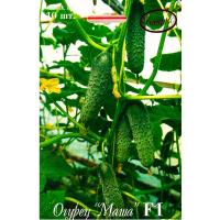 Огурец Маша F1 20*10шт