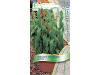 Комн. Эвкалипт лимонный Цитрус 5 шт 