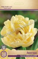 Тюльпан Махровый ранний Авангард (11/12) 10 шт