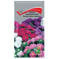 Астра низкорослая Ковер смесь окрасок 0,2г
