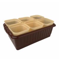 Рассадник набор 6*250мл Дом и Дача шоколадный с ящиком д/рассады /10шт/Рад