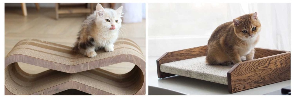 котеточки.jpg котеточки.jpg