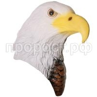 голова орла голова орла
