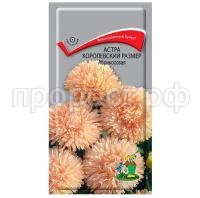 Астра-королевский-размер-Абрикосовая-0,1г-Поиск Астра-королевский-размер-Абрикосовая-0,1г-Поиск