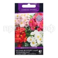 бегония спринт плюс макси
