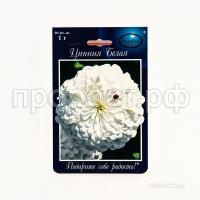 Цинния Полярный медведь Белая 201 Каприс Цинния Полярный медведь Белая 201 Каприс