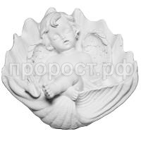 ангел в раковине ангел в раковине