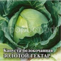 Капуста белокочанная Золотой гектар 1432 10 г Капуста белокочанная Золотой гектар 1432 10 г