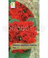 Примула махровая Розелла Ред 5шт