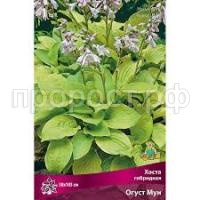 Без названия