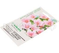 Без названия (8) Без названия (8)