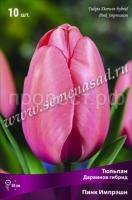 Тюльпан Дарвинов гибрид Пинк Импрешн (розовый с перламутровым оттенком, 10шт, 11-12) 693999