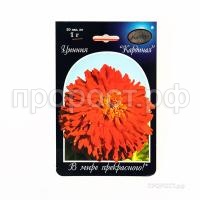 Цинния Кардинал 201 Каприс Цинния Кардинал 201 Каприс