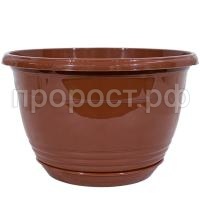 П100860_0 П100860_0