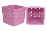 квадро вереск