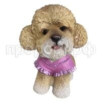 пудель в платье пудель в платье