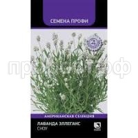 Без названия Без названия