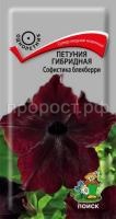 Петуния гибридная Софистика блекберри