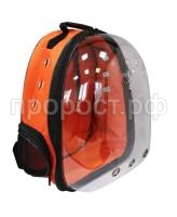 imgonline-com-ua-Resize-W2ddsKqwkR imgonline-com-ua-Resize-W2ddsKqwkR