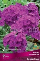Флокс метельчатый Венди Хаус