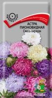 Астра пионовидная Смесь окрасок Астра пионовидная Смесь окрасок