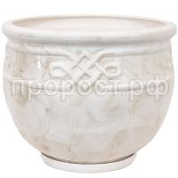 К123896_0 К123896_0