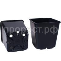 П120872_0 П120872_0