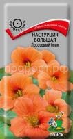 Настурция большая Лососевый блик Настурция большая Лососевый блик