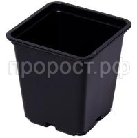 П128155_0 П128155_0