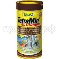 58-800x600 58-800x600