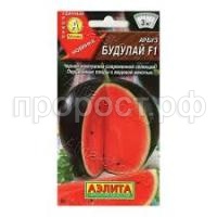 Без названия (4) Без названия (4)