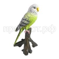 зеленый попугай