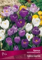 Крокус Смесь Сортов Крокус Смесь Сортов