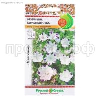 немофила немофила