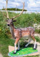 олень пятнис